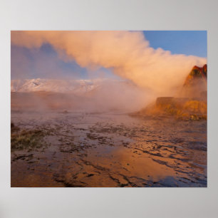 Póster Géiser volador en el desierto de Black Rock