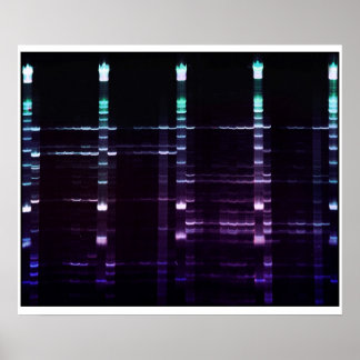 Póster Gel ACR - 2