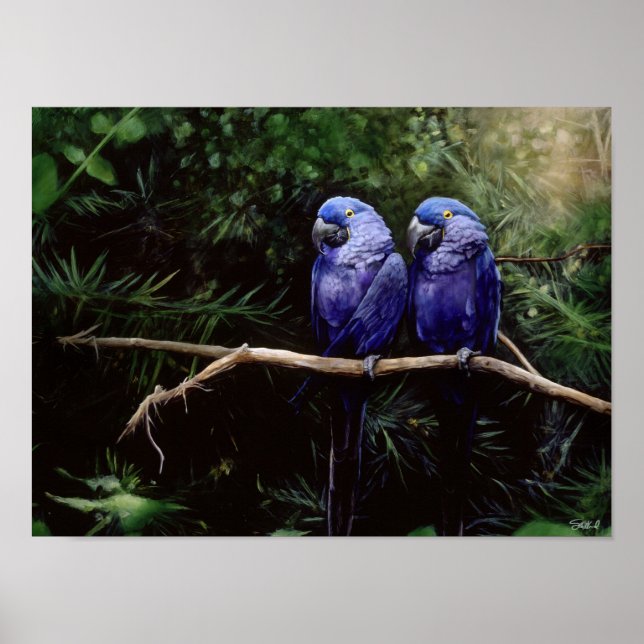 Póster Gemelos (Frente)