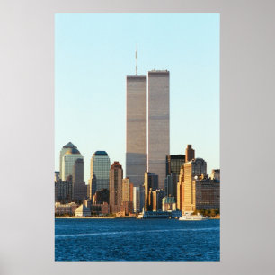 Póster Gemelos estadounidenses