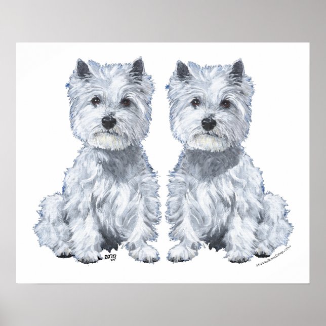 Póster ¡Gemelos West Highland White Terrier! (Frente)