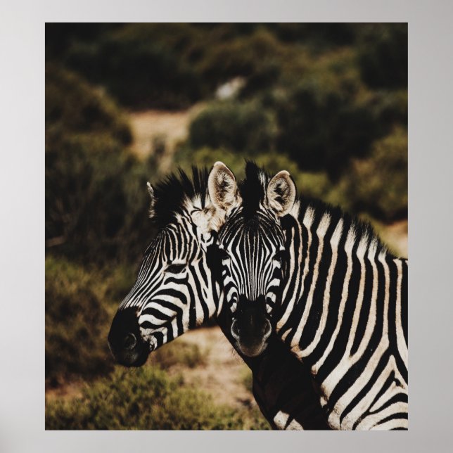 PÓSTER GEMINI (Frente)