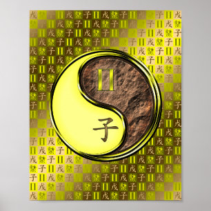 Póster Gemini & Earth Rat