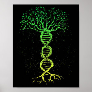 Póster Genealogía de la vida del árbol del adn Biólogo Ci
