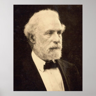Póster General Robert E. Lee en 1869 por Michael Miley