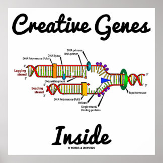 Póster Genes creativos internos (replicación del ADN)