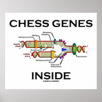 Genes de ajedrez internos (replicación del ADN)