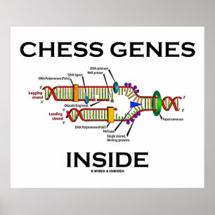 Póster Genes de ajedrez internos (replicación del ADN)