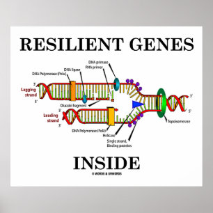 Póster Genes resistentes en el interior (replicación del