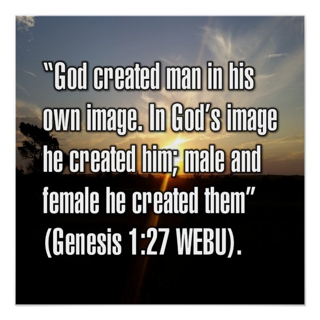 Póster Génesis 1:27 WEBU (Anverso)