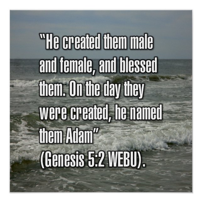 Póster Génesis 5:2 WEBU (Anverso)