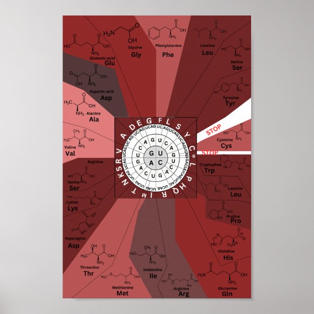 Póster Genetic codon chart wheel of amino acids in brown (Frente)