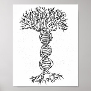 Póster Genética de la vida del árbol del adn Biólogo Día 