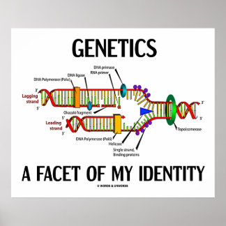 Póster Genética Una Faceta De Mi Identidad (Replicación D