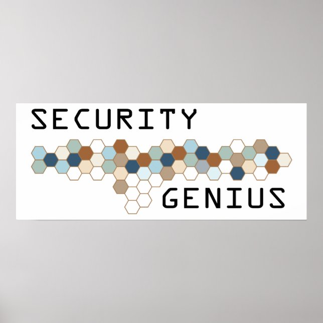 Póster Genio de seguridad (Frente)