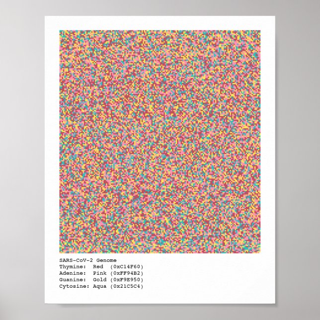 Póster Genoma COVID-19 (Frente)