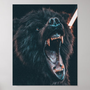 Póster Gente de oso enojado joven de oso negro