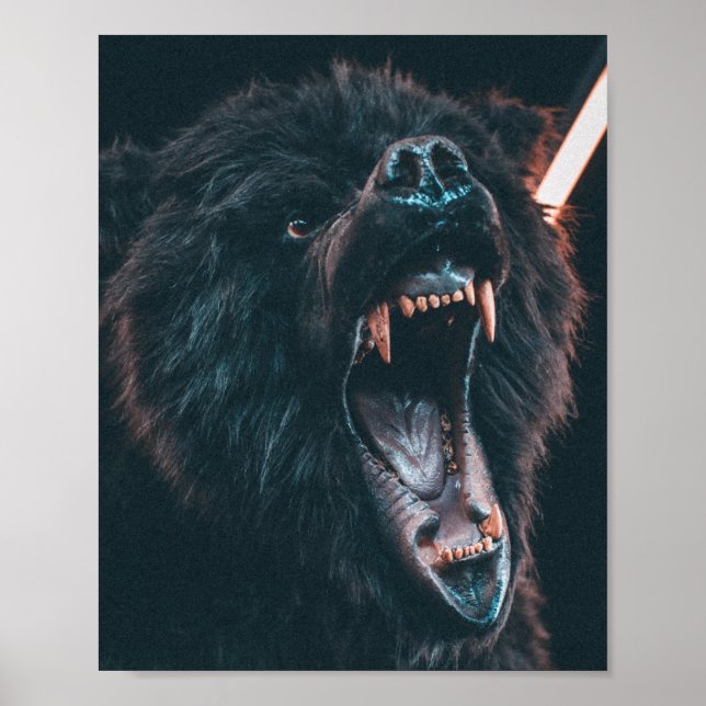 Póster Gente de oso enojado joven de oso negro (Frente)