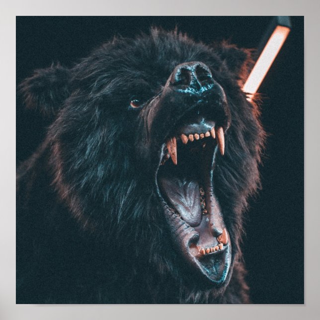 Póster Gente de oso enojado joven de oso negro (Frente)