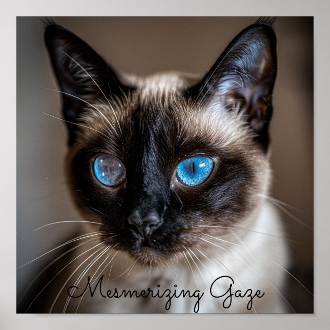 Póster Gente Mesmerizadora: Gato siamés (Frente)