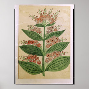 Póster Gentiano con flores imaginarias