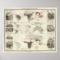 Geografía zoológica