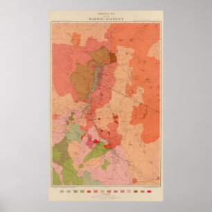 Póster Geological Map of the Washoe District