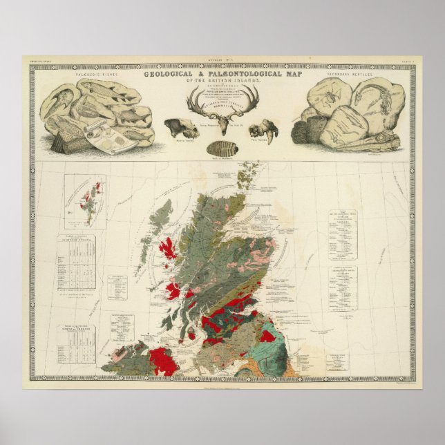 Póster Geological, palaeontological map British Islands (Frente)