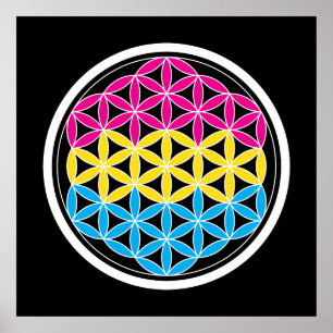 Póster geometría sagrada