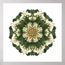 Geometría Sagrada Meditativa: Flora Fractal