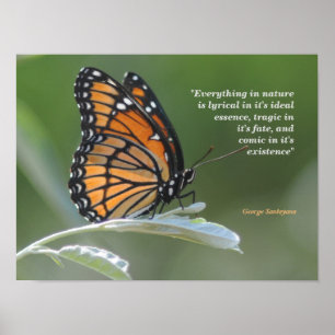 Póster George Santayana Quote On Nature