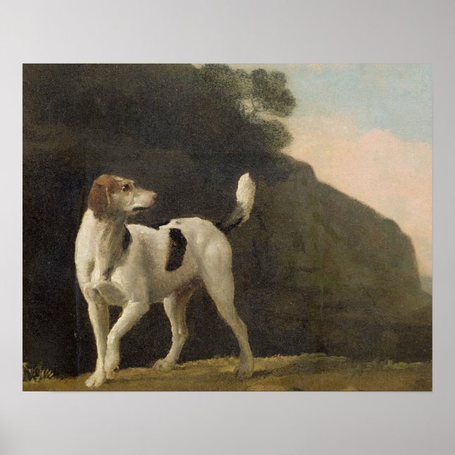 Póster George Stubbs | A Foxhound, c.1760 (aceite sobre p (Frente)