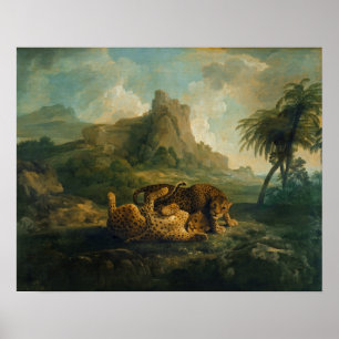 Póster George Stubbs   Leopardos en juego, c.1763-8