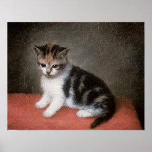 Póster George Stubbs   Miss Ann White's Kitten, 1790