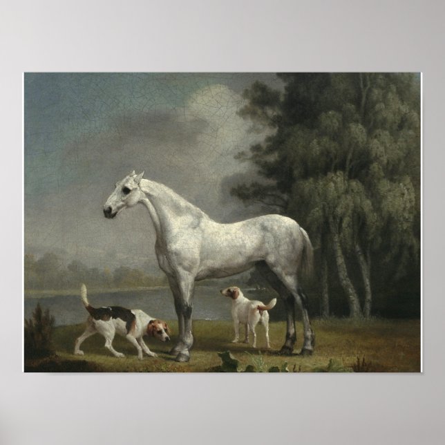 Póster George Stubbs - Un cazador de gris de manzana (Frente)