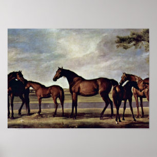 Póster George Stubbs - yeguas antes de una tormenta