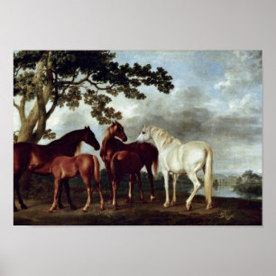Póster George Stubbs - yeguas y potros en un paisaje