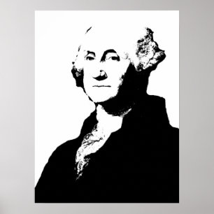 Póster George Washington