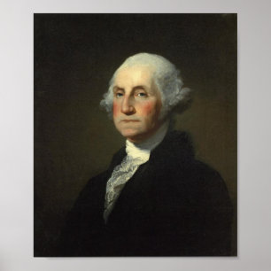 Póster George Washington