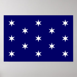 Póster George Washington's Personal Flag