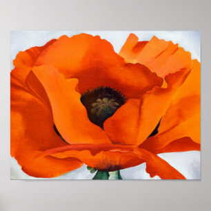 Póster Georgia O'Keeffe -  Amapola Roja - 1927