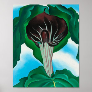 Póster georgia okeeffe, arte,