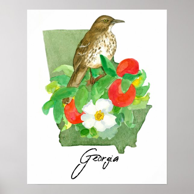 Póster Georgia State Shape Bird Brown Thrasher (Frente)