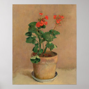 Póster Geranios en un pote, c.1905 (aceite en lona)