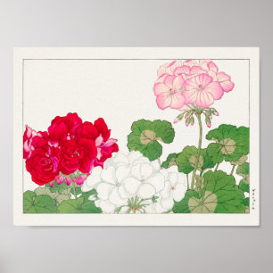Póster Geranium por Tanigami Konan