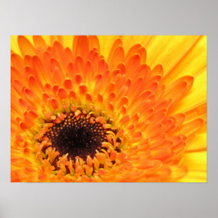 Póster Gerber amarillo