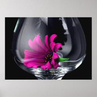 Póster Gerber Daisy en POSTER o TARJETA de Vidrio