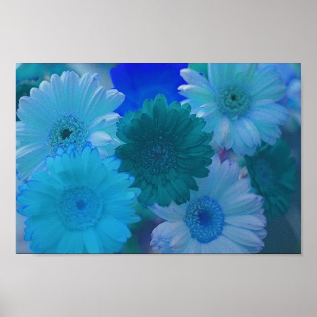 Póster Gerbera azul Daisy Flowe Wall Art Poster de impres (Frente)
