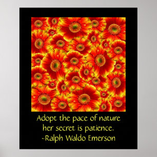 Póster Gerbera Daisies con cita