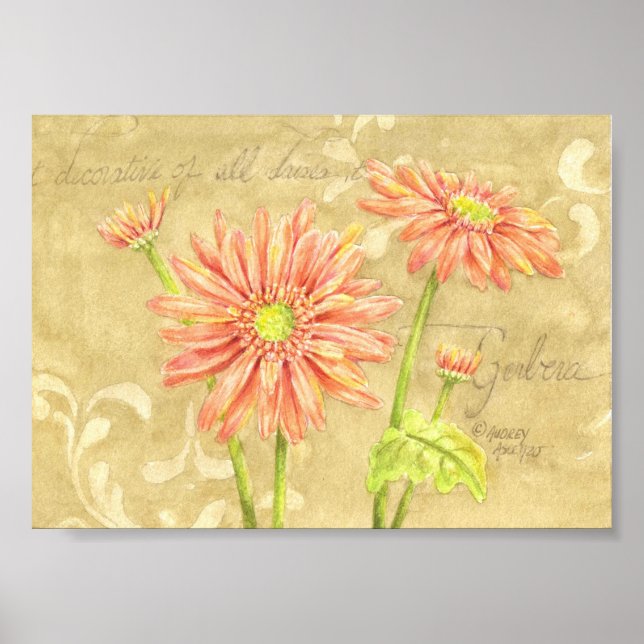 Póster Gerbera Daisies Garden Notes Poster 7x5 (Frente)